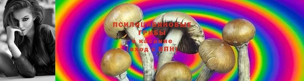 прущая мука Абдулино