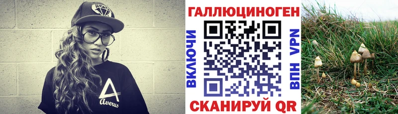 Псилоцибиновые грибы Cubensis что такое Красноперекопск